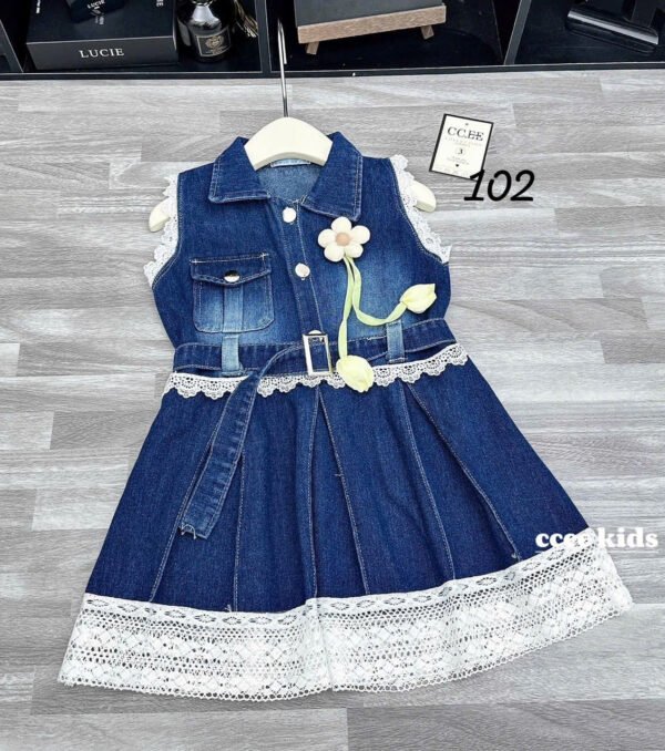 Stylish Denim Girl's Dress